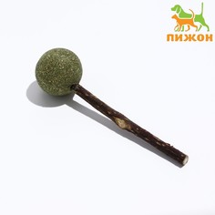 Игрушка для кошек Пижон Леденец из кошачьей мяты на деревянной палочке