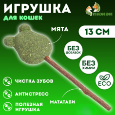 Игрушка для кошек из кошачьей мяты Мишка на палочке из мататаби 13 см Пижон