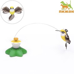 Интерактивная игрушка-дразнилка для кошек Пижон Колибри