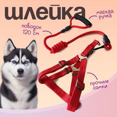 Шлейка с поводком для собак и кошек MiloPets, красный, полиэстер, 120 см, XL, 53-70 см
