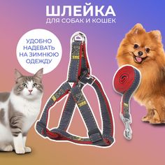 Шлейка и поводок для собак и кошек Milopets Jeans, сине-красный, текстиль, 42-62 см, 1,2 м