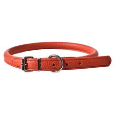 Ошейник для собак Foxie Carrot рыжий S 1,5 х 50 см