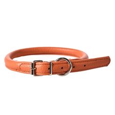 Ошейник для собак Foxie Gladiolus S розовый 1,5 х 50 см