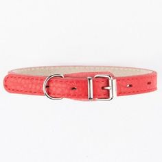 Ошейник для собак Mr.Kranch красный 20-25 см