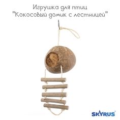 Игрушка для птиц SkyRus Кокосовый домик с лестницей, коричневый, кокос, 13х56 см
