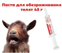 Паста для обезроживания телят БезРогофф 45 г
