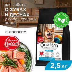 Сухой корм для собак QUATTRO, средние породы, забота о зубах и деснах, с лососем, 2,5 кг