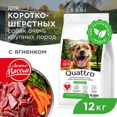 Сухой корм для собак QUATTRO, большие короткошерстные породы, с ягненком, 12 кг