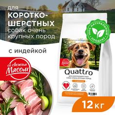 Сухой корм для собак QUATTRO, большие короткошерстные породы, с индейкой, 12 кг