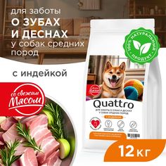 Сухой корм для собак QUATTRO, средние породы, забота о зубах и деснах, с индейкой, 12 кг