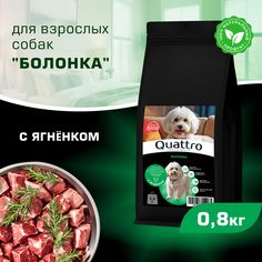 Сухой корм для собак QUATTRO для породы Болонка, с ягненком, 800 г