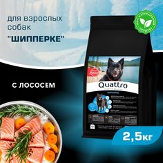 Сухой корм для собак QUATTRO для породы Шипперке, с лососем, 2,5 кг