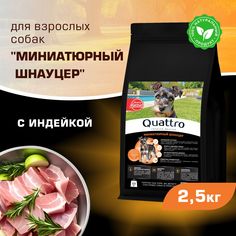 Сухой корм для собак QUATTRO для породы Миниатюрный Шнауцер, с индейкой, 2,5 кг