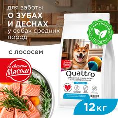 Сухой корм для собак QUATTRO, средние породы, забота о зубах и деснах, с лососем, 12 кг