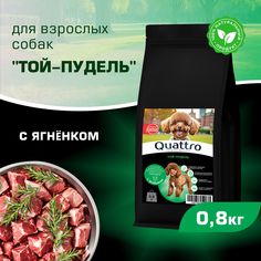 Сухой корм для собак QUATTRO для породы Той-пудель, с ягненком, 800 г