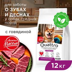 Сухой корм для собак QUATTRO, средние породы, забота о зубах и деснах, с говядиной, 12 кг