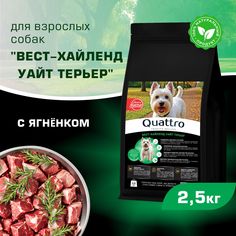 Сухой корм для собак QUATTRO для породы Вест-хайленд уайт терьер, с ягненком, 2,5 кг