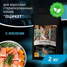 Сухой корм для кошек QUATTRO Оцикет, с лососем и хамсой, 2 кг