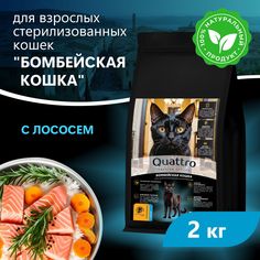 Сухой корм для кошек QUATTRO Бомбейская кошка, с лососем и хамсой, 2 кг