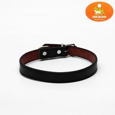 Ошейник из высококачественной искусственной кожи с подкладом под кожу, 44 х 2 см, микс Пижон