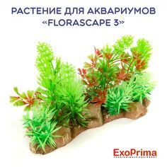 Растение для аквариумов EXOPRIMA Florascape 3, 15х7х9,5см
