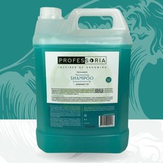 Шампунь увлажняющий Professoria Moisturising 1:10 , 5 л