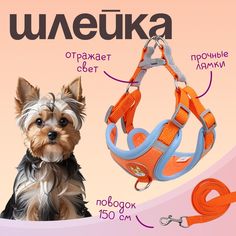 Шлейка с поводком для собак и кошек MiloPets, оранжевый, кожа, 150 см, M, 43-51 см