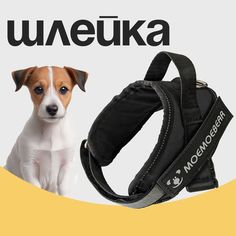 Шлейка для собак MiloPets, для крупных пород, черный, S, обхват груди 46-61 см