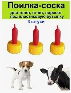 Соска с крышкой на бутылку для кормления животных No Brand