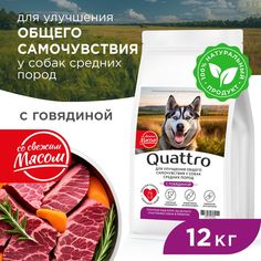 Сухой корм для собак QUATTRO, средние породы, улучшение самочувствия, с говядиной, 12 кг