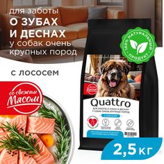 Сухой корм для собак QUATTRO, большие породы, для заботы зубов и десен, с лососем, 2,5 кг