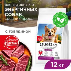 Сухой корм для собак QUATTRO, средние породы, для активных и энергичных, говядина, 12 кг