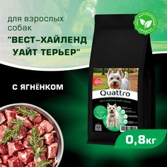 Сухой корм для собак QUATTRO для породы Вест-хайленд уайт терьер, с ягненком, 800 г