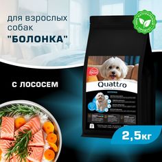 Сухой корм для собак QUATTRO для породы Болонка, с лососем, 2,5 кг