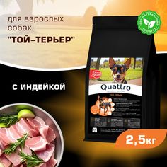 Сухой корм для собак QUATTRO для породы Той-терьер, с индейкой, 2,5 кг