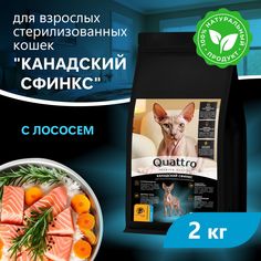 Сухой корм для кошек QUATTRO Канадский сфинкс, с лососем и хамсой, 2 кг