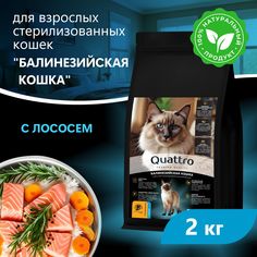 Сухой корм для кошек QUATTRO Балинезийская кошка, с лососем и хамсой, 2 кг
