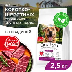 Сухой корм для собак QUATTRO, большие короткошерстные породы, с говядиной, 2,5 кг