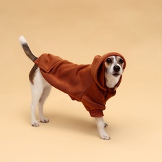 Толстовка для собак, с капюшоном, унисекс, бежевая, текстиль, 2XL, длина спины 55 см No Brand