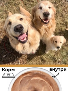 Четвероногий гурман Golden line мусс для собак и щенков с говядиной - 100 г, 3 шт.