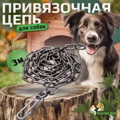 Цепь для привязи собак, 3 м, калибр 4 х 22 мм, черная Пижон