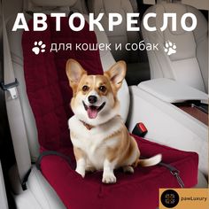 Автокресло для животных PAWLUXURY красный микровелюр размер: 50x50x60см