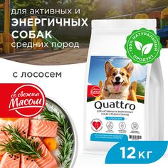 Сухой корм для собак QUATTRO, средние породы, для активных и энергичных, с лососем, 12 кг