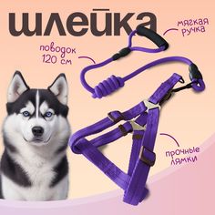 Шлейка с поводком для собак и кошек MiloPets, фиолетовый, полиэстер, 120 см, XL, 53-70 см