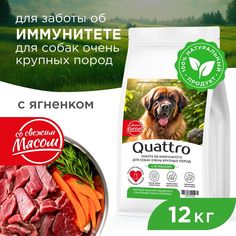 Сухой корм для собак QUATTRO, большие породы, забота об иммунитете, с ягненком, 12 кг