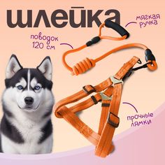 Шлейка с поводком для собак и кошек MiloPets, оранжевый, полиэстер, 120 см, XL, 53-70 см