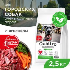 Сухой корм для собак QUATTRO, большие породы, для живущих в городе, с ягненком, 2,5 кг