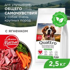 Сухой корм для собак QUATTRO, большие породы, улучшение самочувствия, с ягненком, 2,5 кг