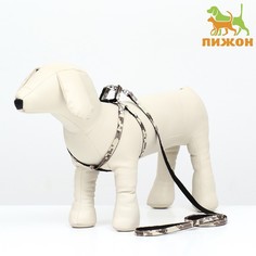 Комплект амуниции Пижон двухслойный, S, поводок 120х1 см, ОШ 24-38 ОГ 29-41 см, камуфляж