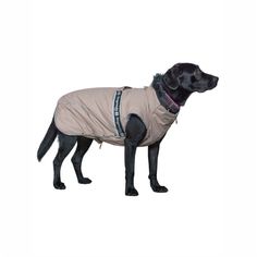 Попона для собак Dogmoda кофе 35 см